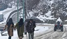J&K to Experience Six Days of Wet Weather Starting January 29: MeT Forecast