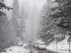 Light snowfall, rain expected in j&k tonight: weather to improve after feb 5