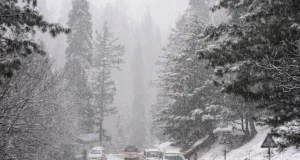 Light Snowfall, Rain Expected in J&K Tonight: Weather to Improve After Feb 5