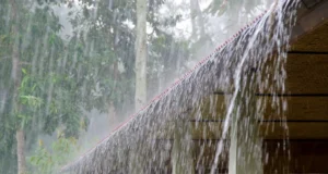 Rain Alert: Heavy Rain Expected in Several States Until February 5 – Check Weather Updates