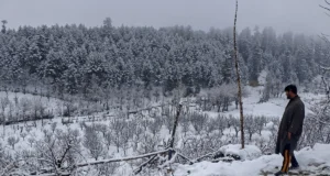 Snowfall in Hills, Rain in Plains Break Kashmir’s Dry Spell