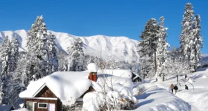Fresh Snowfall Across Kashmir: Latest Update